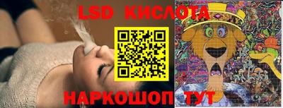 крисы Нальчик