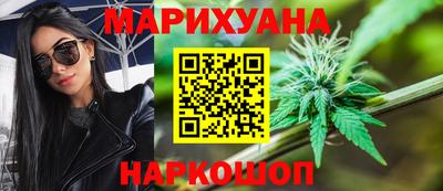 крисы Нальчик