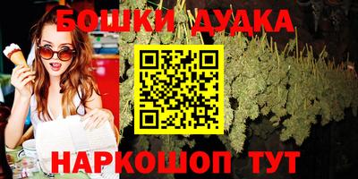 крисы Нальчик