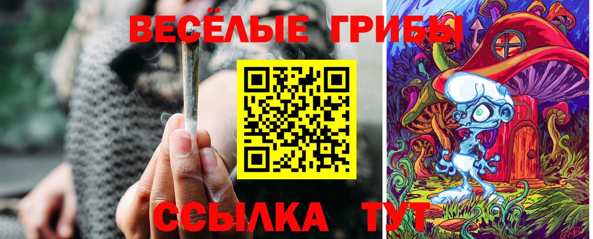 Псилоцибиновые грибы Psilocybine cubensis  Псилоцибиновые грибы ЛСД  Холмск  Вход с VPN 