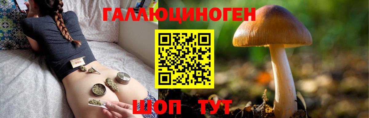Галлюциногенные грибы мицелий Холмск